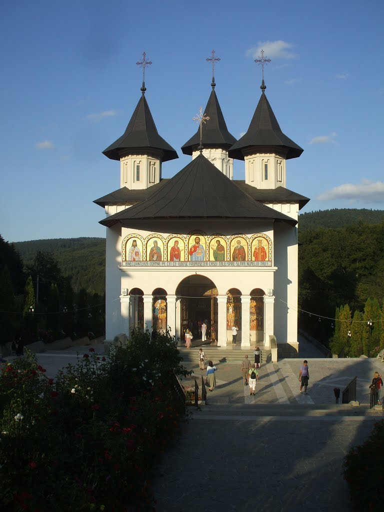 basilica travel doamnei